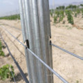 2.4m Galvanized Vineyard Stakes, Grape Post